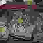 an69