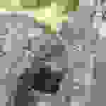 an7