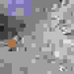 an7