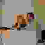 an7
