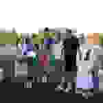an8