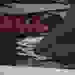 an85