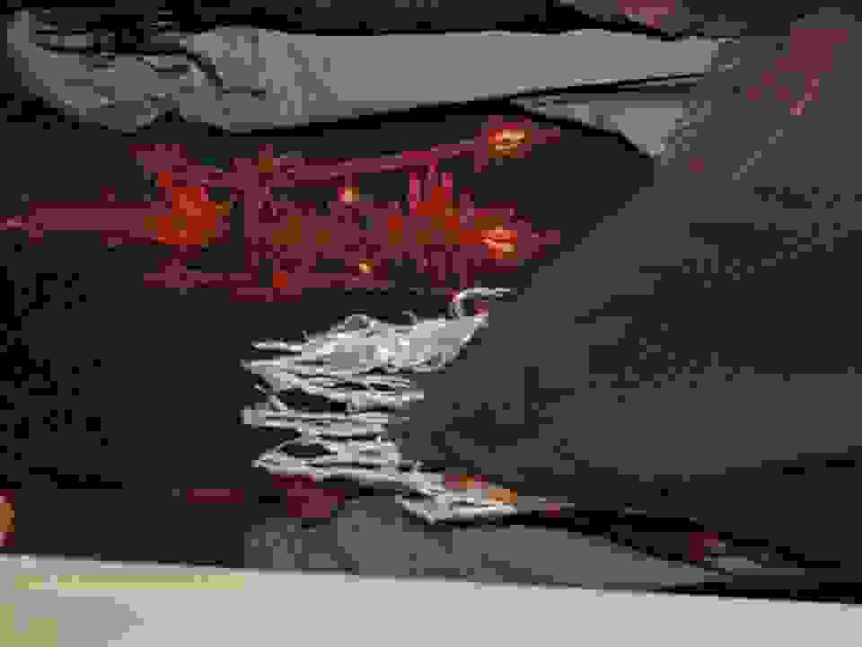 an85