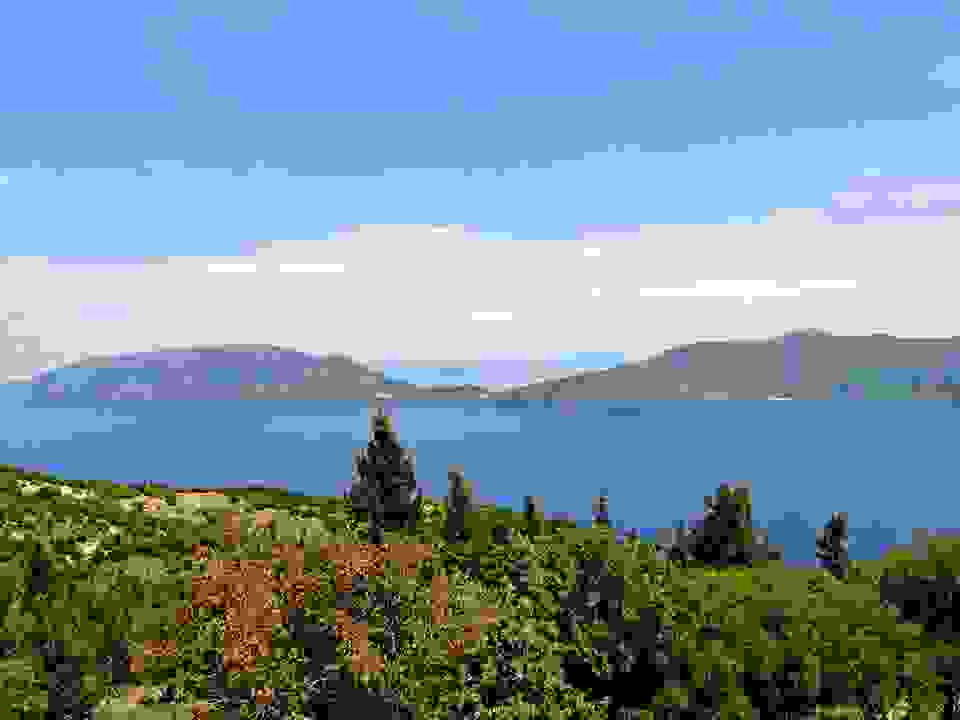 an