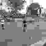 an9