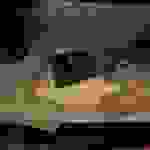 an98