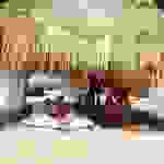 co2