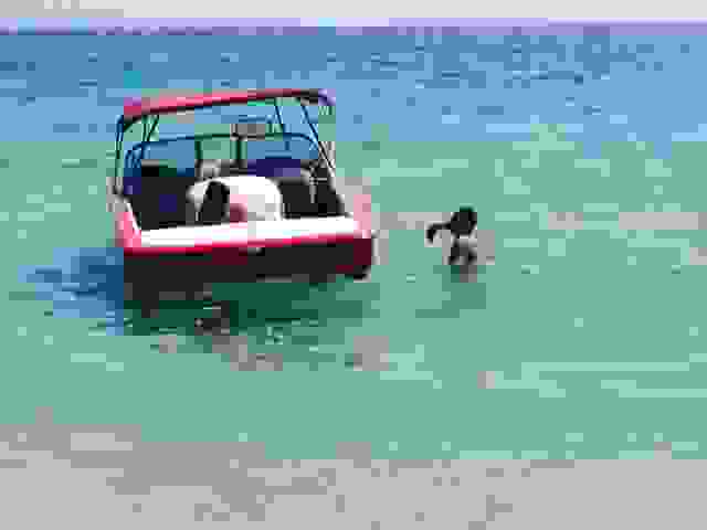 costa1