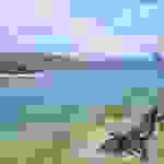 fi2