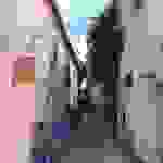 fi20