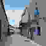 fi21