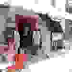 fi25