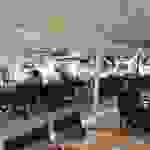 fi26