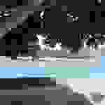 fi4