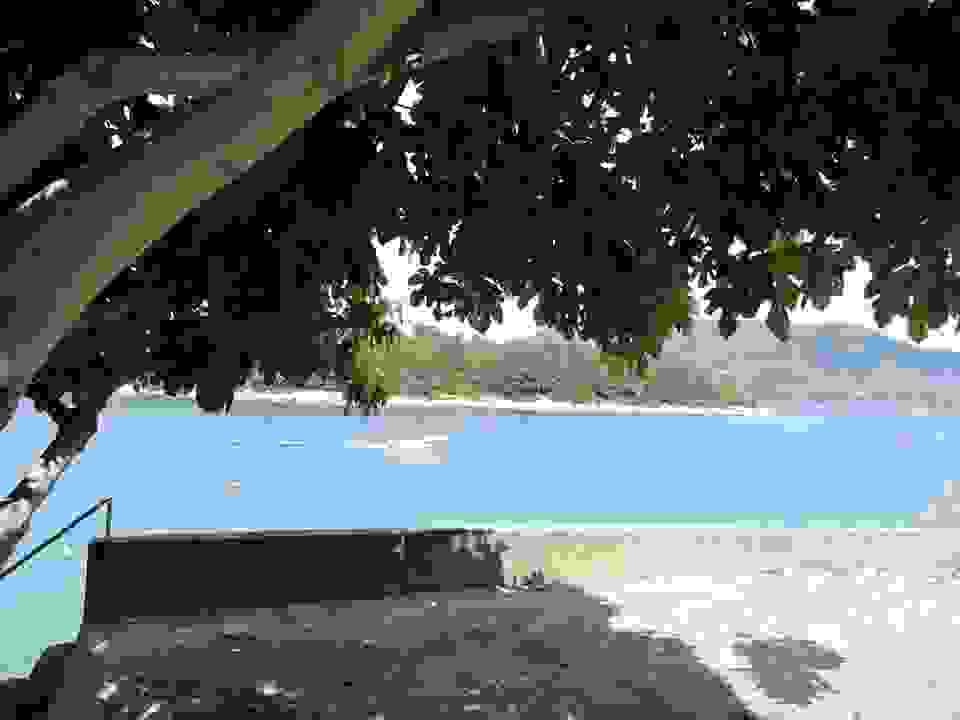 fi4