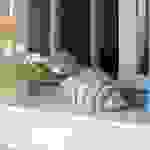 fi44