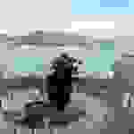 fi63