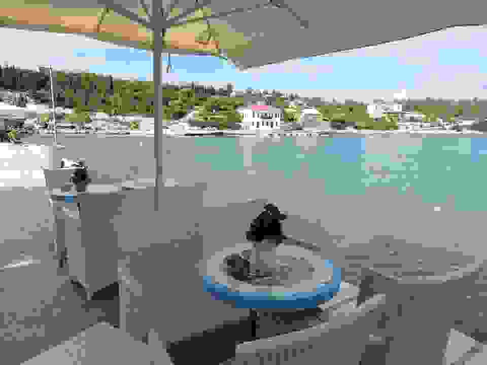 fi64