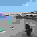 fi66