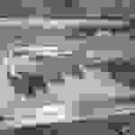 fi74
