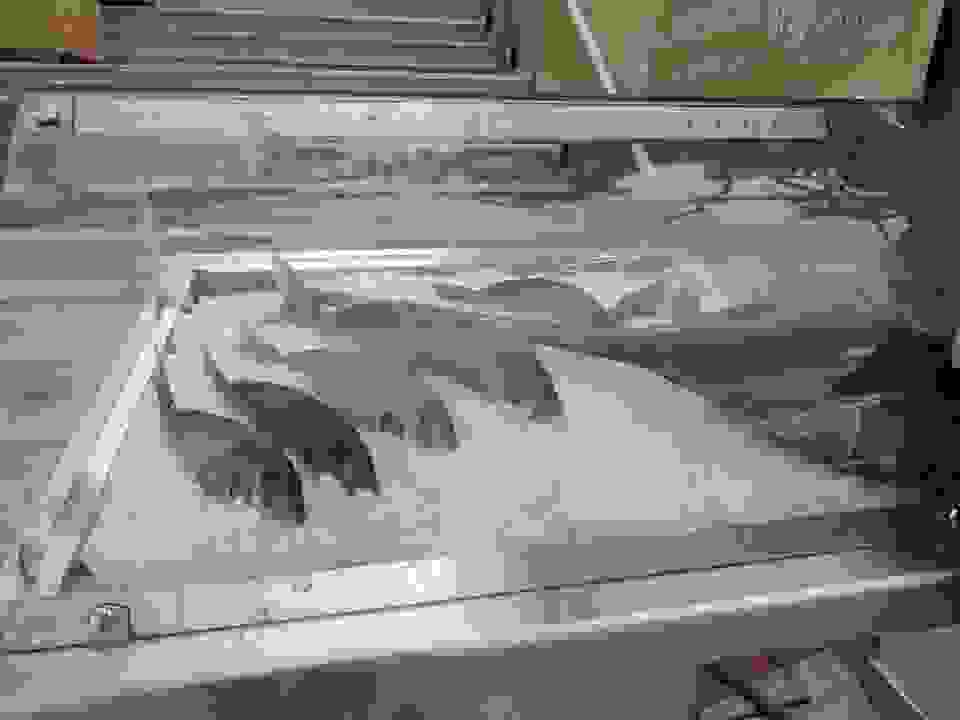 fi74