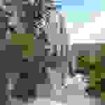 fi77