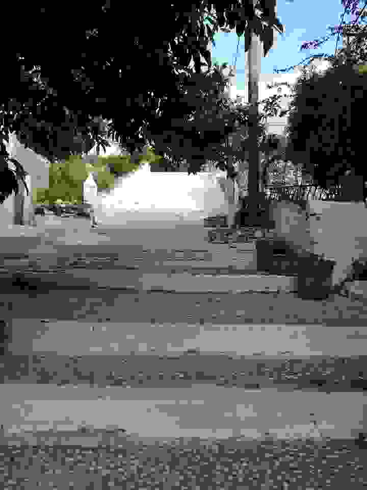 fi82