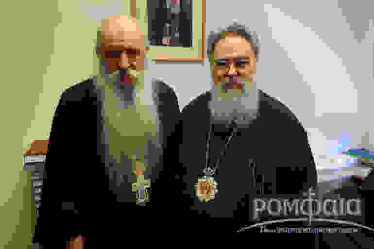 Foka 4