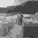 gef