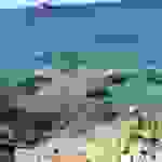 jer10