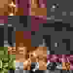 jer13