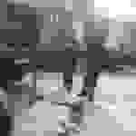 jer14