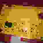 jer14