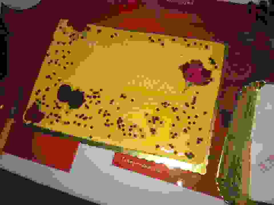 jer15