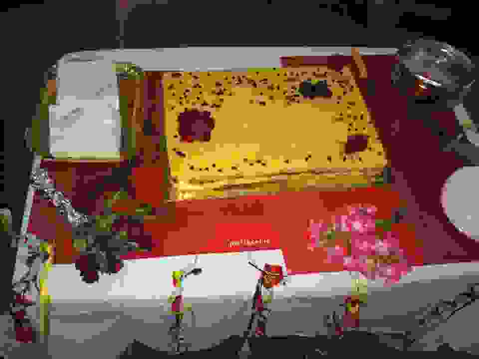 jer16