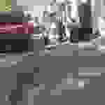 jer22