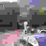 jer3