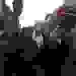 jer3