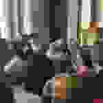 jer3