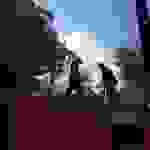 jer3