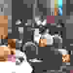 jer4