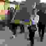 jer5