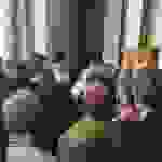 jer5