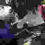 jer5