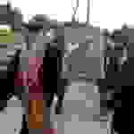 jer7