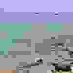 jer8