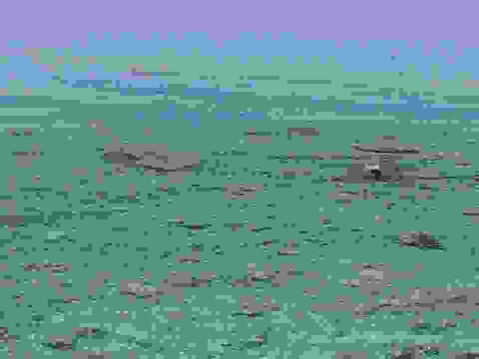 jer9
