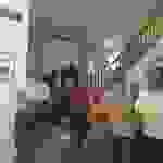 jer9