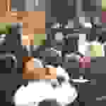 jer9