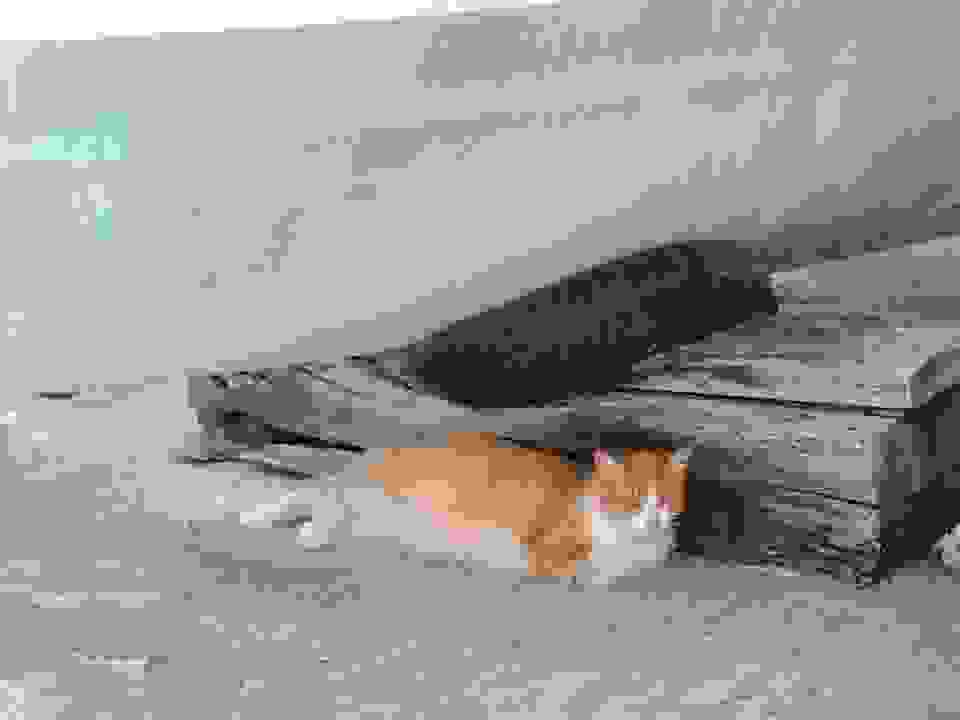 kr36
